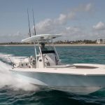 Shearwater-270-09